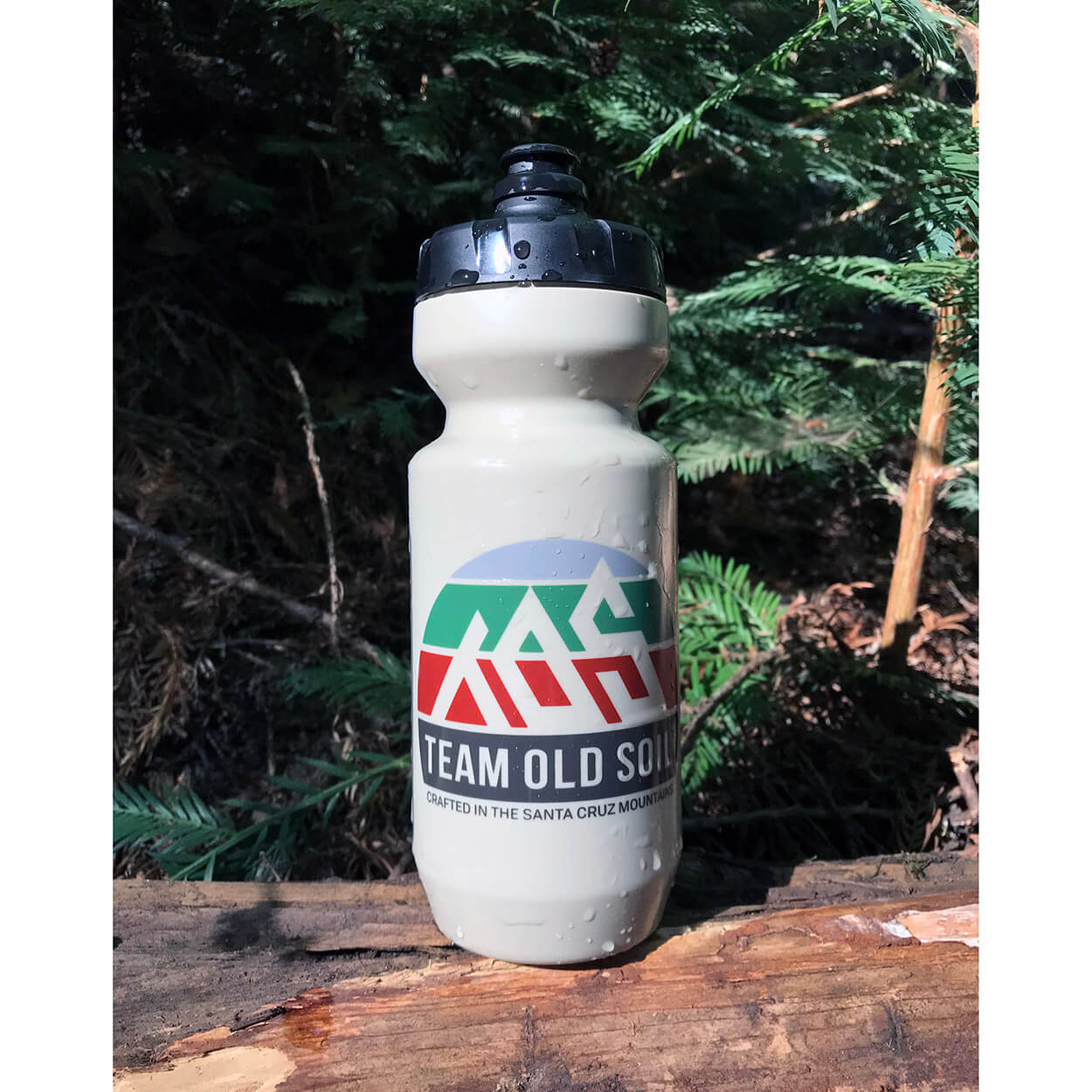 sierra color 22oz water bottle